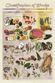 Uw Botany Store Botany Plant Science Fruit