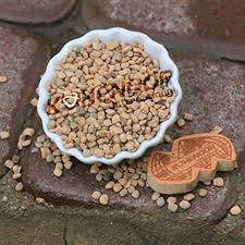 Image result for Cyamopsis