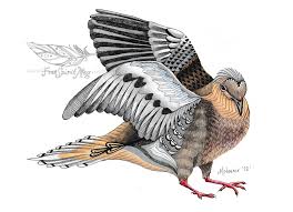 This particullar coloring picture meassure is around 600 pixel x 783 pixel with approximate file size for around 65.27 kilobytes. Totem Animal Mourning Dove Free Spirit Meg
