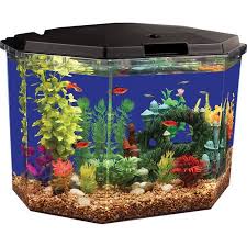 It is also known as an aquarium coffee table. Aqua Culture 6 5 Gallon Semi Hex Aquarium Kit With Led Lighting And Power Filter Ideal For A Variety Of Tropical Fish Walmart Com Walmart Com
