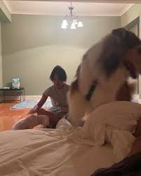 Marcos Lin (@marcoslin__) • Instagram photos and videos