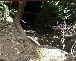 Explore Guna Caves: Kodaikanal's Hidden ...