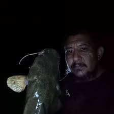 What type of rocks are found in Creek, Seminary, MS?