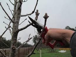 Check spelling or type a new query. Blog Posts From Just Fruits And Exotics