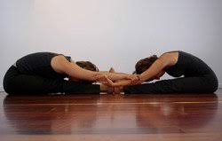 Try these poses with your partner and become expert by practicing daily. Partner Yoga Poses Doyou