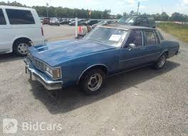 Image result for Rhone Blue 1983 Colt