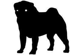 Download Pug Dog Silhouette Graphic By Idrawsilhouettes Creative Fabrica SVG Cut Files