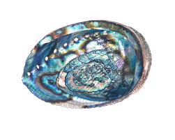 During times of stress, smudging with abalone shells veils your mind, body, and spirit in utter quietude. Abalone Meanings Properties And Powers The Complete Guide