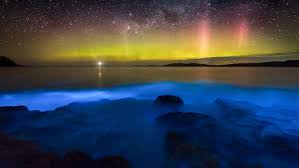 Check spelling or type a new query. 10 Must Visit Bioluminescent Destinations Most Beautiful Glow In The Dark Natural Attractions