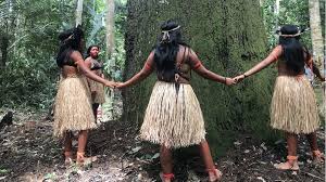 Kayapo indian chief kanhok gorotire amazonas, brazil; We Will Fight To The Death To Save The Amazon Rainforest Bbc News