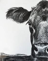 Charcoal Sketch Black Angus Art Cow Print Art Cow Artwork Cow Decor Wall Country Western 8 5 X 11 Size Charcoal Art Charcoal Drawing Animals Cow Art