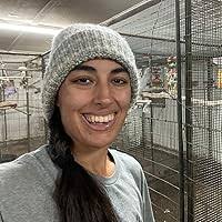 Cursed With A Gift (Blessed With A Curse #2) by Katie Cherry