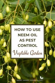 The oil brings antibacterial advantages that really. Can I Use Neem Oil For Plants Smart Money Green Planet