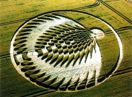 Agroglifo - ePuzzle pH๏τo puzzle