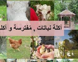Image of آكلات كل شيء