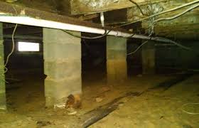 Regular attic cleaning can reduce the number of allergens and toxins in the air circulating in your home, reduce your monthly utility costs, and reduce a professional attic cleaning will identify problems early on before they become larger expensive issues. Crawl Space Cleaning San Mateo 650 535 1966 Crawl Space Cleaning