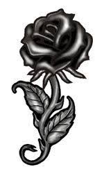 Roses are in a linear and long design that compliments the rose. Black Rose Black Rose Tattoo Black Rose With Thorns Or When All Fails Black Rose Tattoos Traditional Rose Tattoos Tattoos