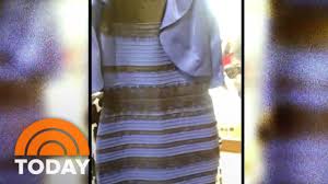 People are seeing the dress in varying colours due to the different ways in which they perceive colours. The Dress Debate Settled Black And Blue Or White And Gold Today Youtube