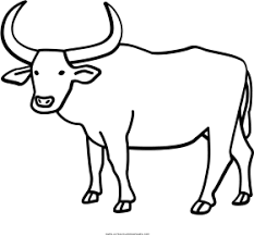 We did not find results for: Download Buffalo Coloring Page With Water Ultra Pages Ox Drawi Png Free Png Images Toppng