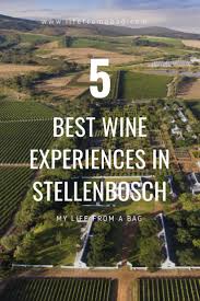 The Best Wine Experiences In Stellenbosch South Africa Holiday Travel Destinations South Africa Travel Travel