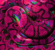 Pin By Pop Haydn Certifiable Genius On Sunshower Pink Snake Pretty Snakes Beautiful Snakes