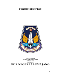 Kumpulan contoh karya tulis ilmiah remaja sma rpp biologi sma kelas xii contoh laporan penelitian ilmiah biologi seputar laporan pdf profil artikel ilmiah hasil pelatihan penulisan karya tulis ilmiah guru biologi sma se kab sidoarjo bab 1 ruang lingkup biologi ppt download contoh karya ilmiah biologi singkat dan benar untuk tugas sekolah. Kti Biologi Sma