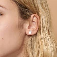 نتیجه جستجوی لغت [studs] در گوگل