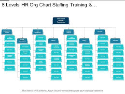 8 Levels Hr Org Chart Staffing Training And Compensation