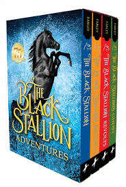 The Black Stallion Adventures Box Set Farley Walter 9780375834066 Amazon Com Books