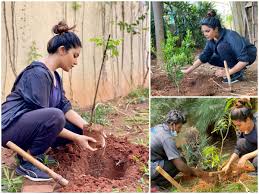 Veterans' associations exchange poppies for charitable donations used to give financial, social and emotional support to members and veterans of the armed forces. Aathmika Plants Saplings In Remembrance Of Actor Vivek Tamil Movie News Times Of India
