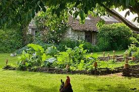 Les Jardins De Roquelin Val De Loire France Pelouse Oies Et Potager Legumes Jardin Decoratif Garden Pictures Country Gardening Kitchen Garden