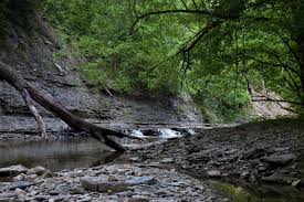 Maybe you would like to learn more about one of these? Clifty Falls State Park Loop Outdoor Project