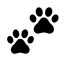 Paw Print Frame Clipart Clipart Kid Paw Print Clip Art Paw Stencil Cat Paws