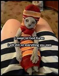 Image result for karen meme