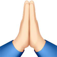 Person With Folded Hands 1 Hand Emoji Praying Hands Emoji Folded Hands