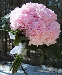 Maybe you would like to learn more about one of these? Retro Light Pink Carnation Wedding Bouquet By Weddingflowershop 29 00 Carnation Wedding Bouquet Carnation Wedding Wedding Bouquets Pink