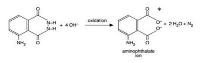 Chemiluminescent reagent for wb detection of proteins bound to hrp conjugated antibodies. Chemiluminescence Of Luminol A Cold Light Experiment Experiment Rsc Education