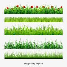 Plante Herbacee Caricature La Decoration Des Elements Png Et Psd Bordure De Fleur Plant Png Image Clipart
