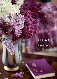 Talking Flowers A Valentine S Day Guide To Flowers And Their Meaning Purple Flowers Beautiful Flowers Flowers