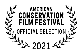 2021 lifetime movies have everything from biopics to true crime and compelling stories of heartache. Once Was Water To End This Crazy Year With A Celebration Once Was Water Was Selected For The 2021 American Conservation Film Festival Facebook
