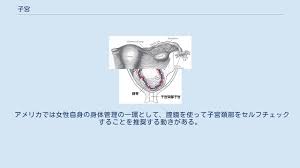 子宮 - YouTube