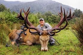 Red Stag And Tahr A Favourite Duo New Zealand Bookyourhunt Com