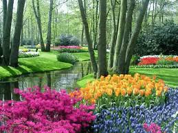 Dogal Gif Giphy De Bul Ve Paylas Beautiful Gardens Beautiful Flowers Garden Nature