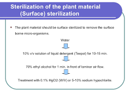 Plant Tissue Culture