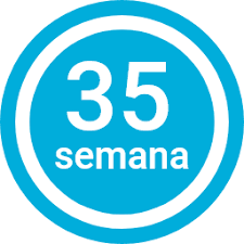 Semana 35 De Embarazo Sintomas Cambios Y Consejos