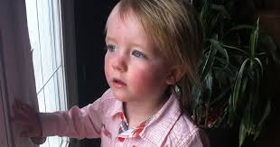 The Hebbs: The Accident