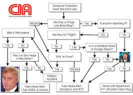 Fake News Flow Chart I Uv