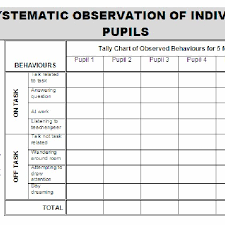 Systematic Observation Schedule For Pupils On Task Off Task