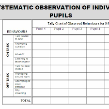 systematic observation schedule for pupils on task off task