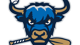 Myrtle Beach Pelicans at Salem RidgeYaks